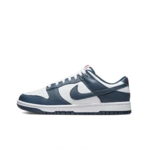 Nike Dunk Retro Blue-White Trainers